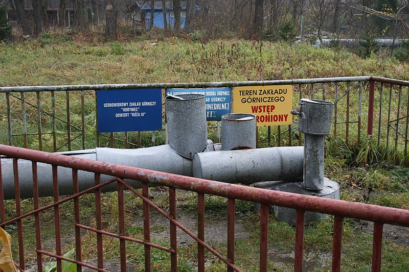 Rostoczek 11.2008 365